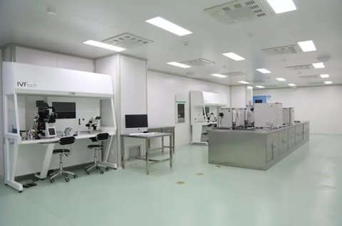 代怀助孕果冻状分泌物的观察与解析